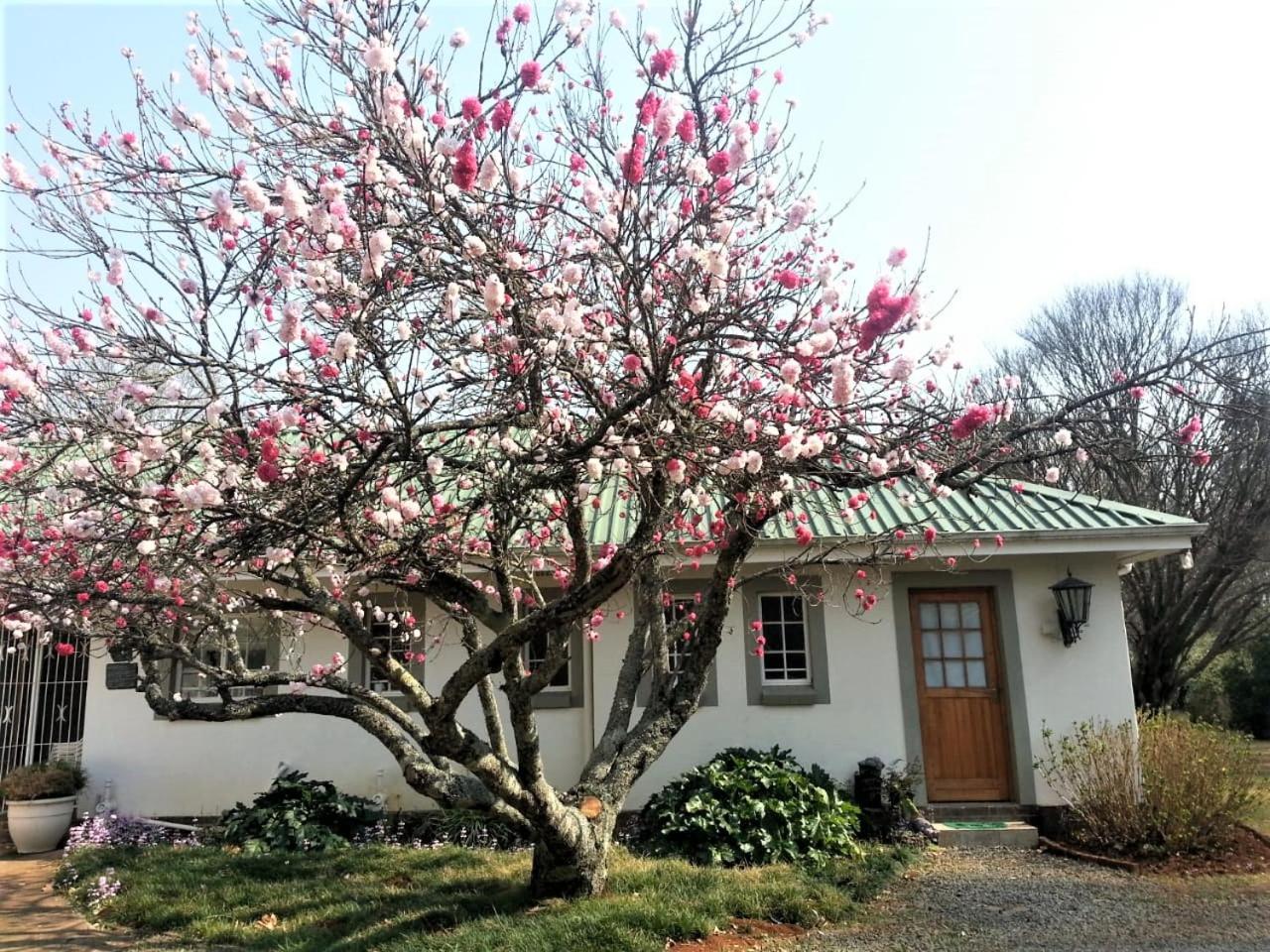 Sani Window B&B And Self Catering Underberg Dış mekan fotoğraf